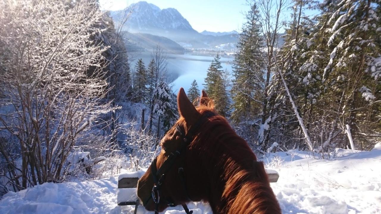 Haus Moser Altaussee Buitenkant foto